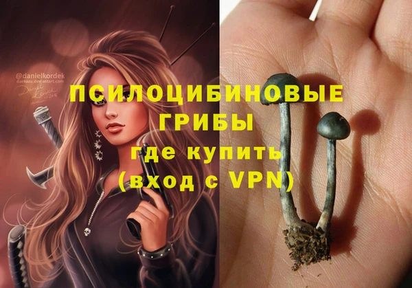 альфа пвп Алексеевка